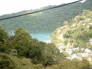 Man of warbay tobago